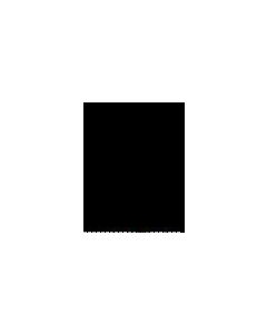 15201.jpg - 0