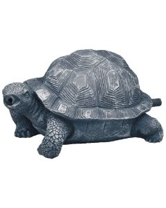 Oase Schildkröte