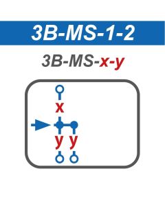 3b-ms-1-2.jpg - 0