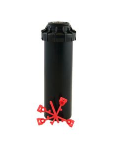 430r.jpg - 0