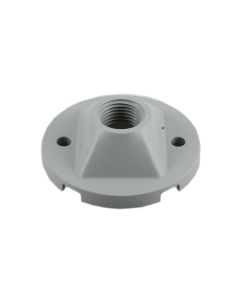 h-258200.jpg - 0