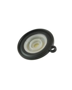 rpe-membrane-75.jpg - 0