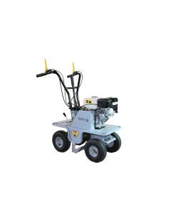 rss3040.jpg - 0
